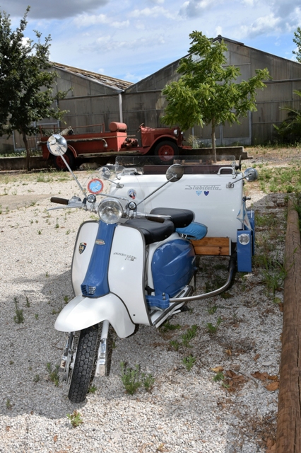 240.jpg