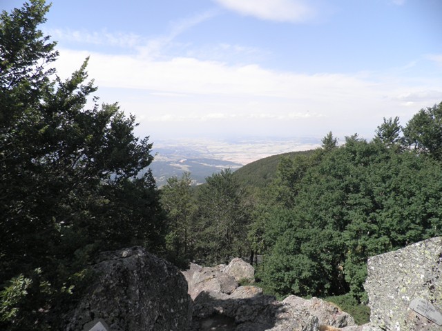 429.JPG