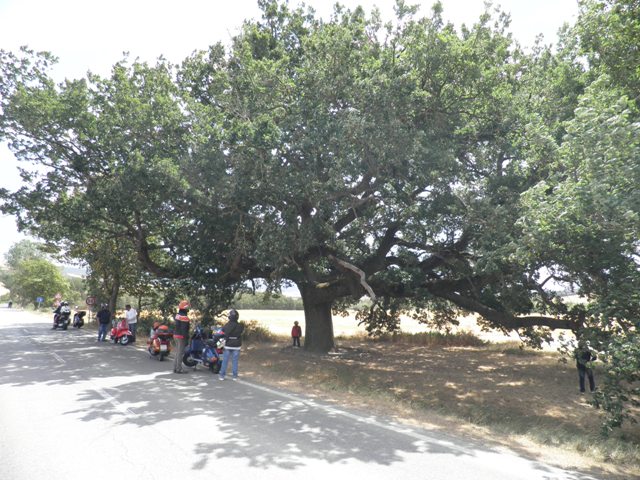483.JPG