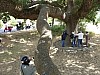 319.JPG