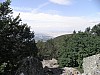 429.JPG