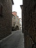 462.JPG